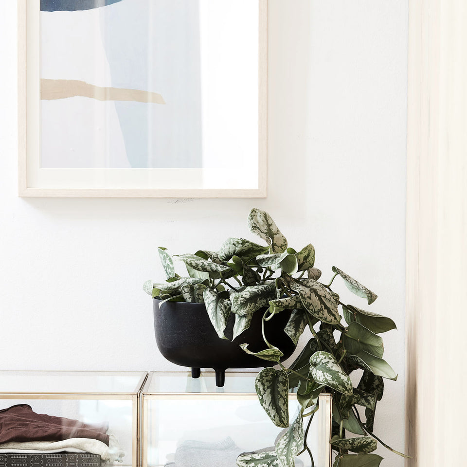 House Doctor Blumentopf, HDJela, Schwarz oxidiert